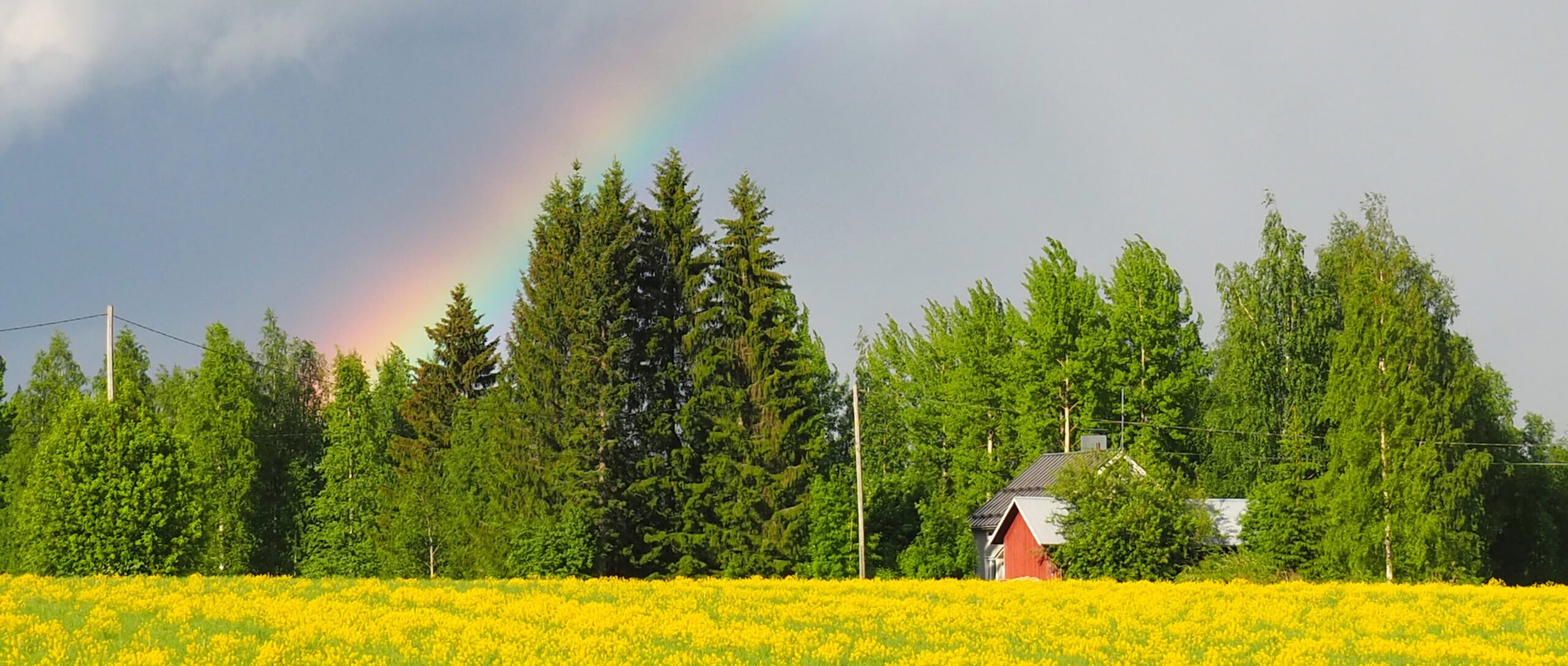 kesäinen maisema