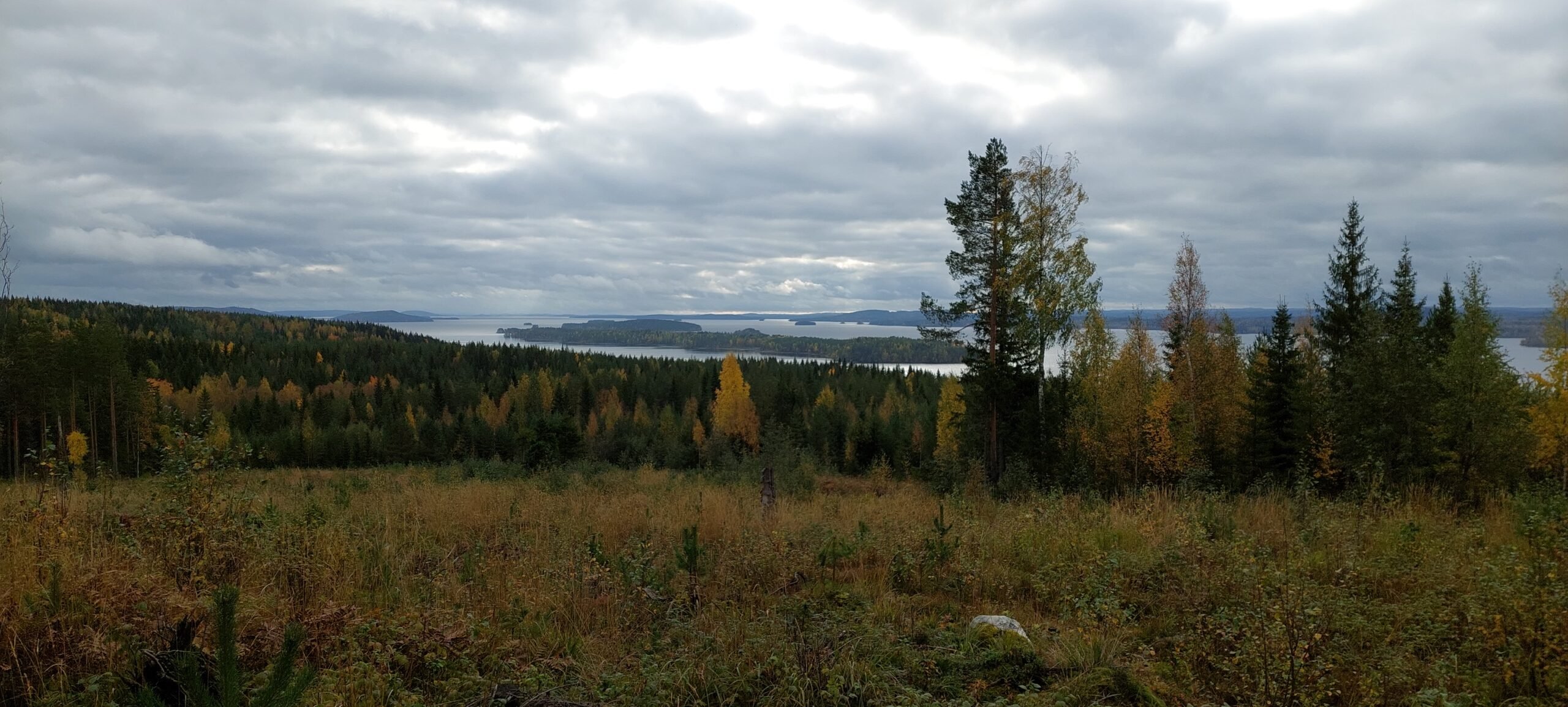 Metsäs­tys­lu­vat Asio-varaus­pal­ve­lusta